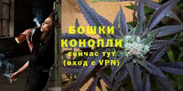 PSILOCYBIN Бронницы