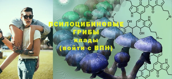 PSILOCYBIN Бронницы