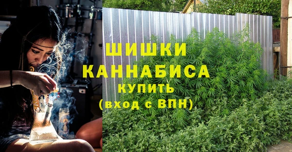 PSILOCYBIN Бронницы